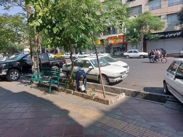 از مبارزه با جانوران مضر شهری تا صدور اخطاریه برای ۸ساختمان پرخطر