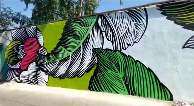 از مبارزه با جانوران مضر شهری تا صدور اخطاریه برای ۸ساختمان پرخطر