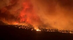 آتش در «جنگل های نارک» گچساران دوباره شعله ور شد