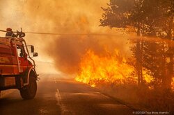 آتش سوزی در جنگل های منطقه ژیروند فرانسه