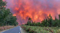 آتش سوزی گسترده جنگلی در جنوب فرانسه