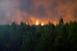 احتمال وقوع آتش سوزی در مناطق جنگلی و تالابی گیلان