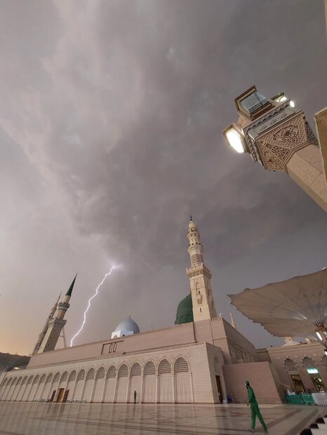 باغ ملک فهد در شهر مدینه طعمه حریق شد+ تصاویر