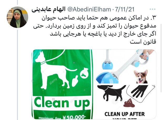 بار سنگین مسئولیت در قبال حیوان خانگی در اجتماع