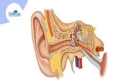 اختلالات مرتبط با گوش داخلی چیست و به چه پزشکی مراجعه کنیم؟