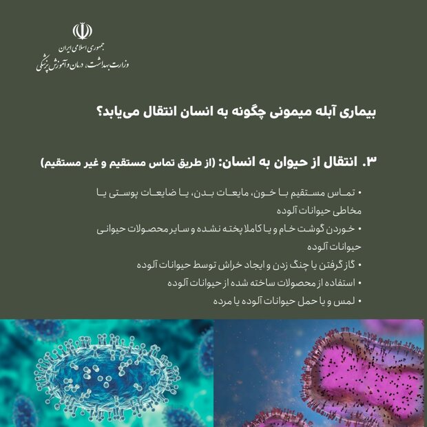 اینفوگرافی آبله میمونی/ از علائم بیماری تا راه های درمان