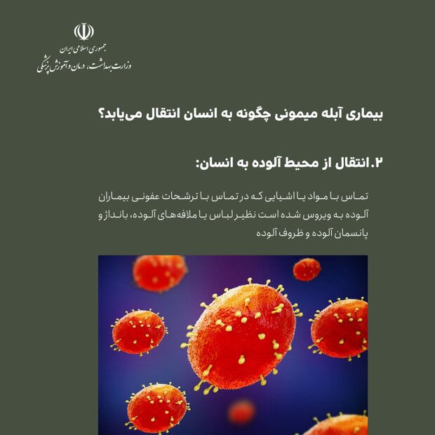 اینفوگرافی آبله میمونی/ از علائم بیماری تا راه های درمان