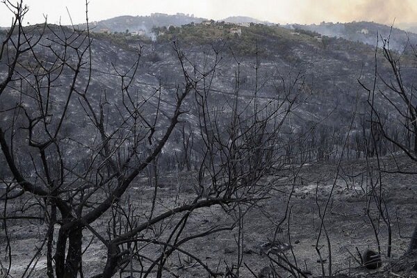 At least 26 dead in Algeria forest fire - Mehr News Agency