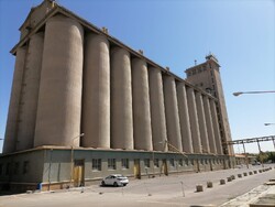 ظرفیت ذخیره‌سازی گندم در استان زنجان ۵۵۰ هزار تُن است