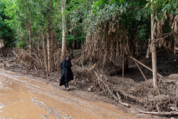 ۴ هزار واحد روستایی آسیب دیده از سیل نیاز به بازسازی کامل دارد