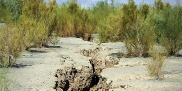 بهشت استان بوشهر خشکید/ آبرسانی به «جم» در پیچ و خم وعدهها