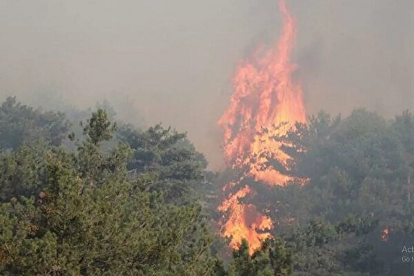 Azerbaycan’da orman yangını