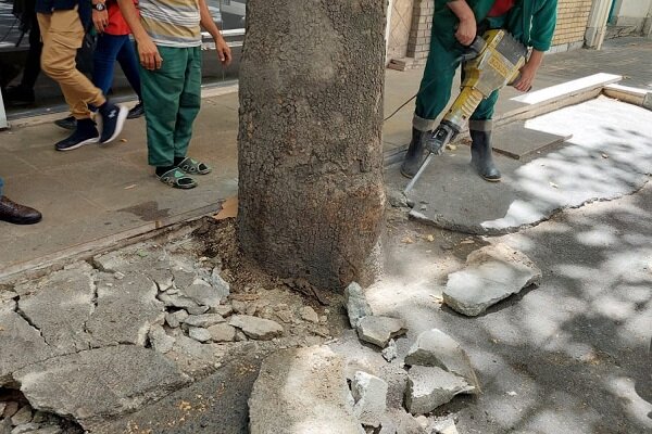 از بهسازی جدارهها در بازار تهران تا افزایش ۶ هزارتایی اتوبوس