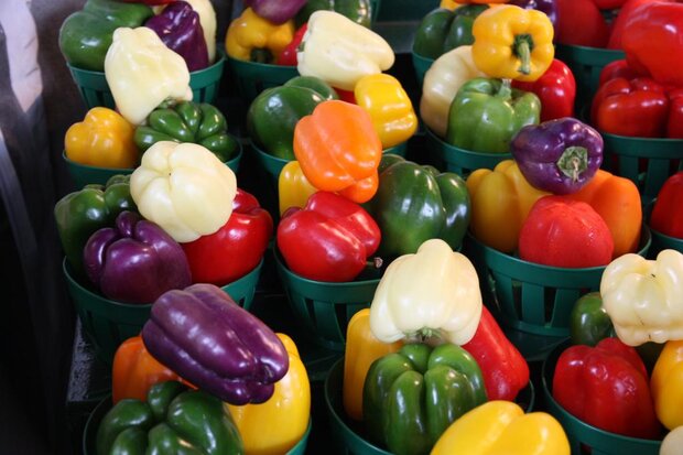 اصفهان با ۱۰ هزار کدQR محصولات گلخانهای را برای صادرات شناسهدار کرد اصفهان با ۱۰ هزار کدQR محصولات گلخانهای را برای صادرات شناسهدار کرد