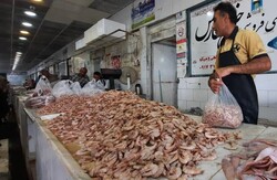 قیمت انواع ماهی و میگو؛ ۸ شهریور ۱۴۰۱/ ماهی سرخو ۱۴۵ هزار تومان