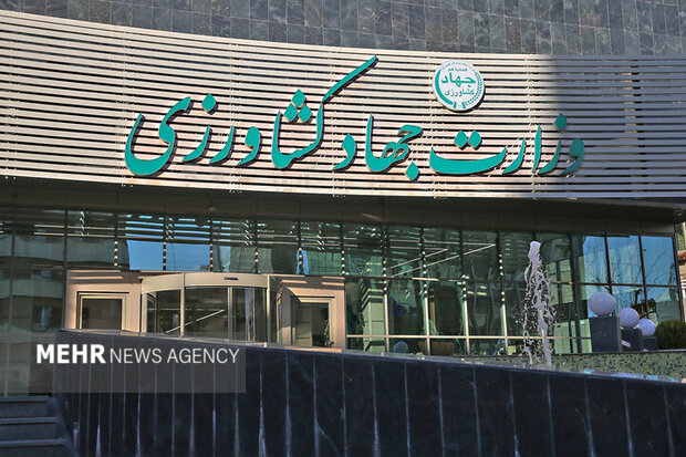 مدیرعامل موسسه جهاد توسعه منصوب شد