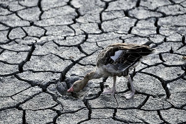 Europe facing its worst drought in 500 years: EU agency Europe facing its worst drought in 500 years: EU agency