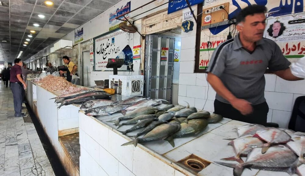 سفره ساحلنشینان خالی از ماهی و میگو/ قیمت آبزیان پر کشید