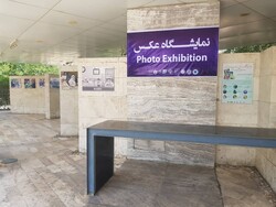 گشایش نخستین نمایشگاه گروهی عکس مدافعان سلامت در شیراز