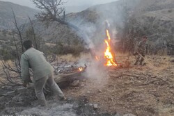 کمبود نیروی حفاظتی معضل منابع‌طبیعی زنجان در انجام ماموریت‌ها است