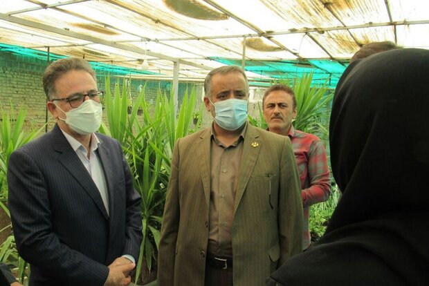 هفته دولت قومسی در یک نگاه/افتتاح و کلنگ زنی ۶۸۸ پروژه