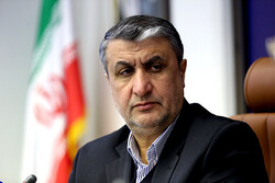 إسلامي: يجب إغلاق ملف التهم ضد إيران