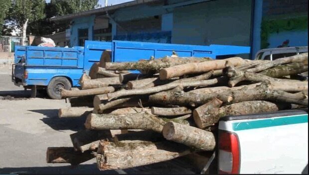 عاملان قاچاق ۳.۵ چوب جنگلی توسط پلیس دستگیر شدند