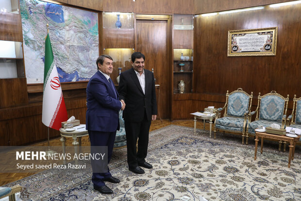 Iran VP meeting with Aide to Russian President
