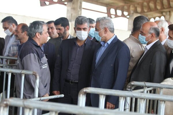 بهرهبرداری از پروژه دامداری گاو شیری در رشت