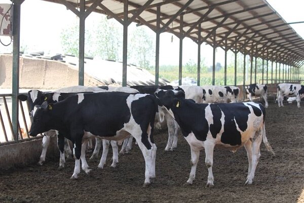 دور دوم سفر رئیس جمهور به فارس/حضور رئیس جمهور در دانشگاه شیراز