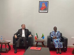 امیرعبداللهیان با وزیر خارجه تانزانیا دیدار کرد