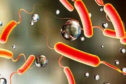 توصیه‌ها و نکات بهداشتی در خصوص مقابله با شیوع وبا
