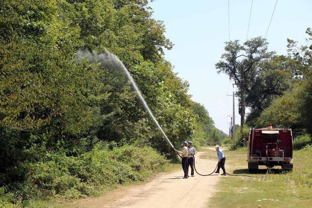 مروری بر شرایط گنجینه هیرکانی/ میراث جهانی بی صدا جان میدهد