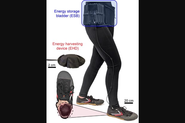پروتز بادی در حمل بار به کاربر کمک می کند