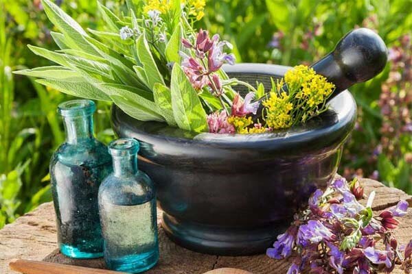 طبیعت آذربایجان غربی بستر رویش گیاهان دارویی 2