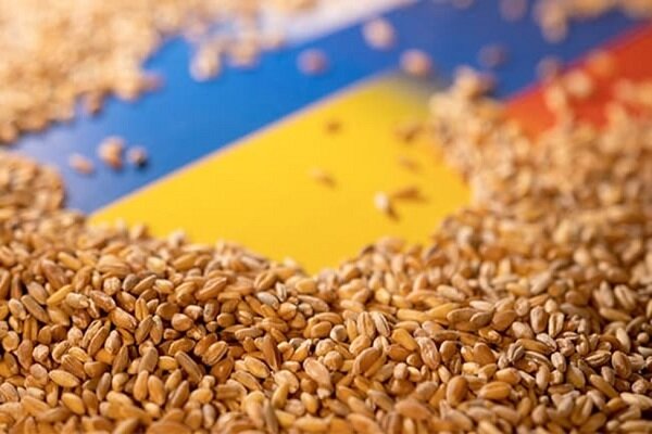 چشم انداز بحران غلات در جهان ۶ ماه پس از جنگ  اوکراین