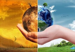 ۲۰ پروژه استانی زیست فناوری برای حل مشکلات زیست محیطی
