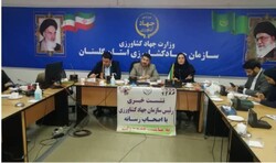 سود اصلی برنج به جیب کشاورزان برود