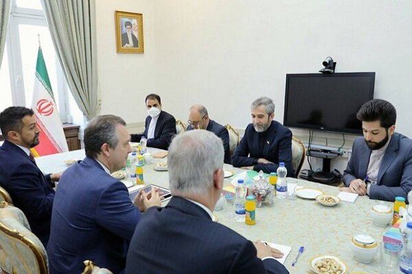 Iran seriously determined to develop relations with Brazil 