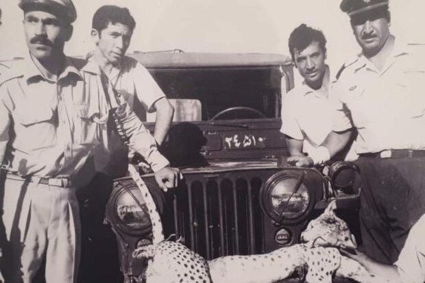 زمانی که خوزستان یوز ایرانی داشت زمانی که خوزستان یوز ایرانی داشت