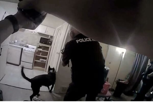 VIDEO: US police kills Black man in his bed