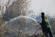 حریق حدود ۱۰ هکتاری در نیزارهای تالاب انزلی؛ عملیات مهار ادامه دارد