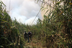  مهار حریق گسترده در تالاب انزلی پس از ۸ ساعت تلاش بی‌وقفه 