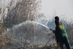 آتش سوزی در عرصه های منابع طبیعی گرگان اطفا شد