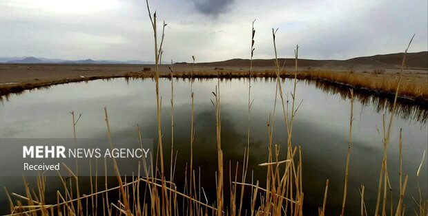 ((کویر مرکزی ایران چاله شرقی)) شاهرود . عباس نژاد