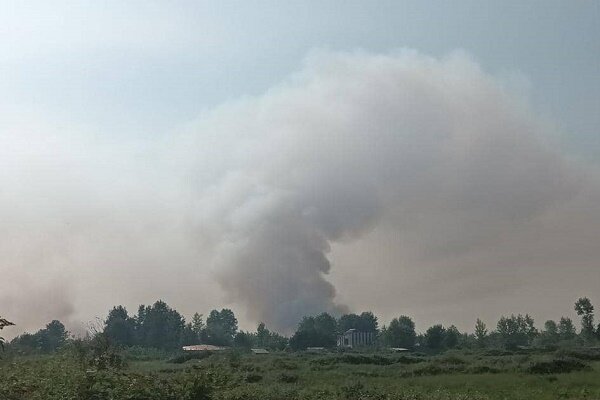 نابودی ۴۰ هکتار از اراضی تالاب انزلی در آتش طمع سودجویان