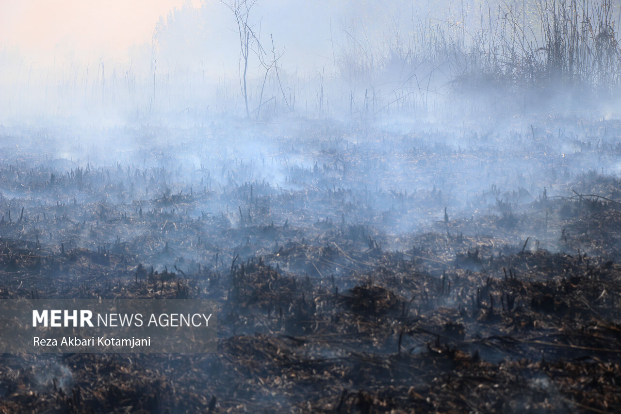 مرزبانی: حریق ۱۷ هزار متر مربع از جنگل «هرشون دشت» تالش مهار شد مرزبانی: حریق ۱۷ هزار متر مربع از جنگل «هرشون دشت» تالش مهار شد