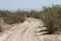 چهار محال و بختیاری از خشکسالی عبور نکرده است