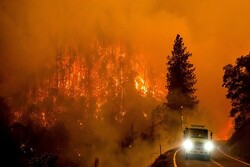 صدور دستور تخلیه الزامی در پی حریق گسترده در جنگل‌های کالیفرنیا