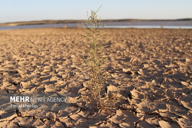 خسارت 56 هزار میلیارد ریالی خشکسالی به کشاورزی اردبیل